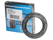 krrt-7369n-38x55x7-din3760-nbr