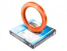Wellendichtring AS 70x95x10 FPM (2.1-70x95-5 GOST 8752-79)